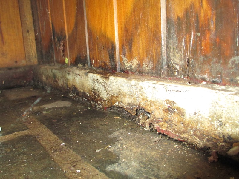 Underground Water Leak Detectors Melbourne Roof Leaking Specialist